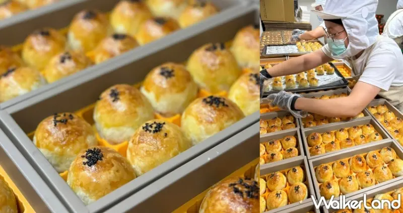 陳耀訓・麵包埠2024中秋紅土蛋黃酥