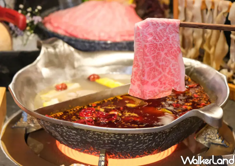 大巨蛋美食「湊湊火鍋·茶憩」/ WalkerLand窩客島整理提供 未經許可不可轉載。