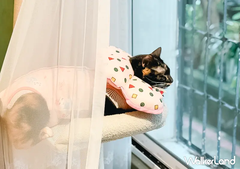 不小心闖入蠟筆小新家！台北電玩咖啡廳「Nomonohe のものへ」完整菜單要筆記/ WalkerLand窩客島整理提供 未經許可不可轉載。