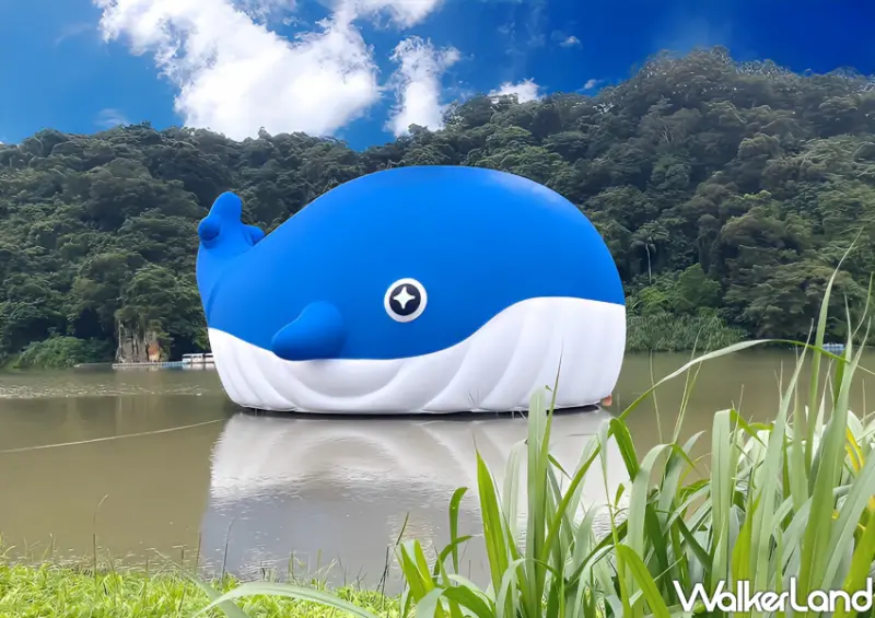 2024碧潭水舞/ WalkerLand窩客島整理提供 未經同意不可轉載