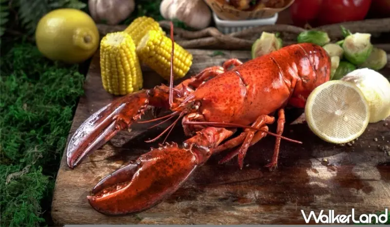 2024雲朗觀光夏季線上旅展