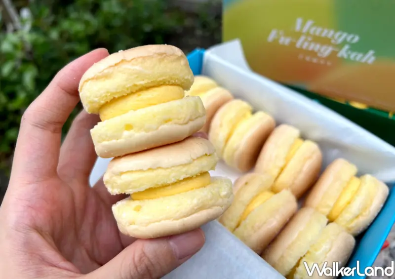 不二糕餅蛋黃酥快閃新莊！秒殺蛋黃酥新莊人要搶，迷你蛋黃酥也來了。