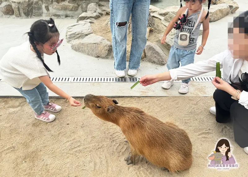 【宜蘭礁溪 親子景點推薦】回巢 Homing 荒野沙漠農場，