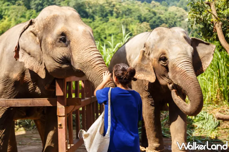 2024上半年旅遊熱銷排行榜