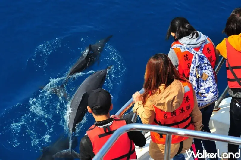 台北國際夏季旅展 ​​​​​​​農遊超市  / WalkerLand窩客島提供 未經許可，不得轉載