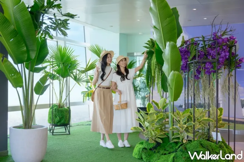 台北101打造「蕨‧蘭之美」秘境花園觀景台