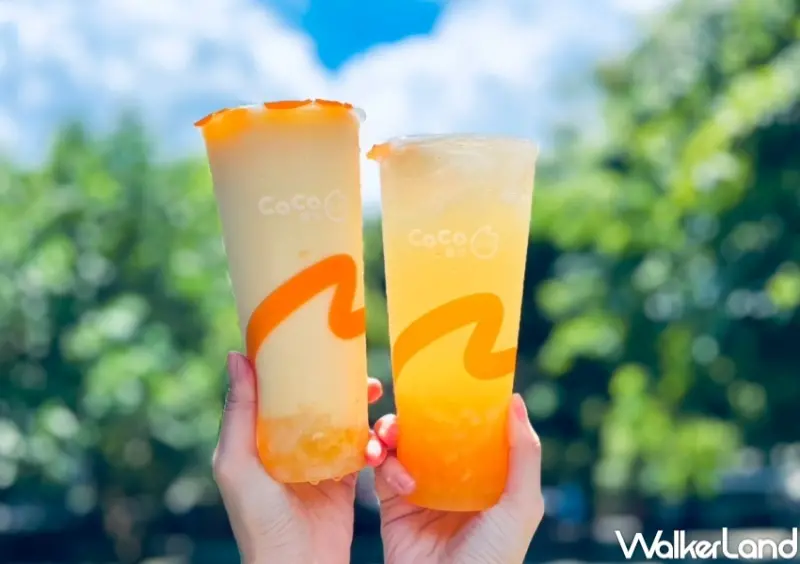 CoCo 楊枝甘露64折 / WalkerLand窩客島提供 未經許可，不得轉載