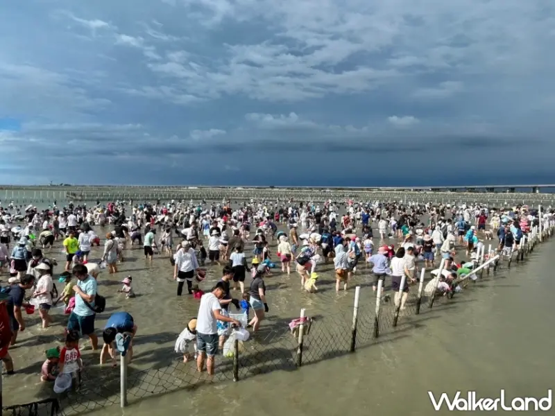 2024臺南七股海鮮節