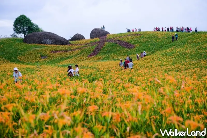 探索金色花海「赤科山、六十石山」旅遊指南