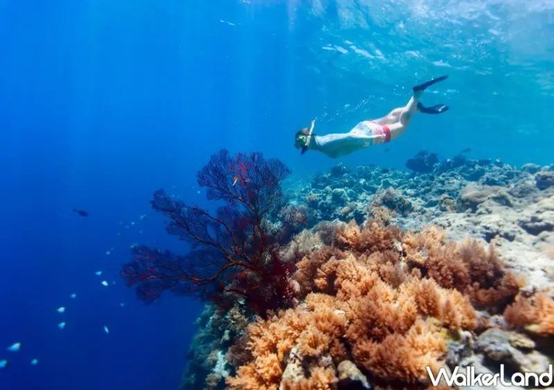 華航旅展特價機票/ WalkerLand窩客島整理提供 未經許可不可轉載。