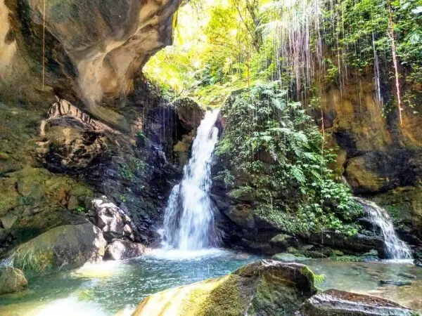 三民蝙蝠洞 / WalkerLand窩客島整理提供 未經許可不可轉載