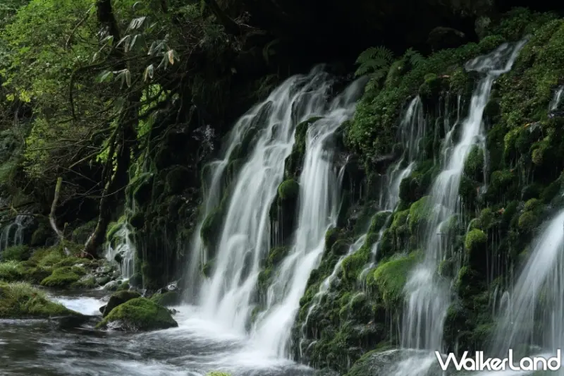 探索秋田縣清涼避暑景點和夏季活動，體驗鳥海山、法體瀑布、稻田藝術等多項夏日樂趣