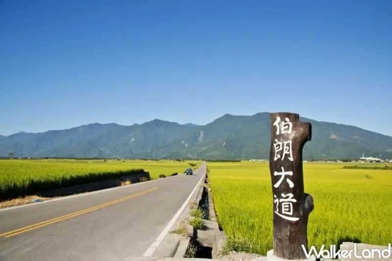 易遊網「花東振興玩起來」主題企劃  / WalkerLand窩客島提供 未經許可，不得轉載