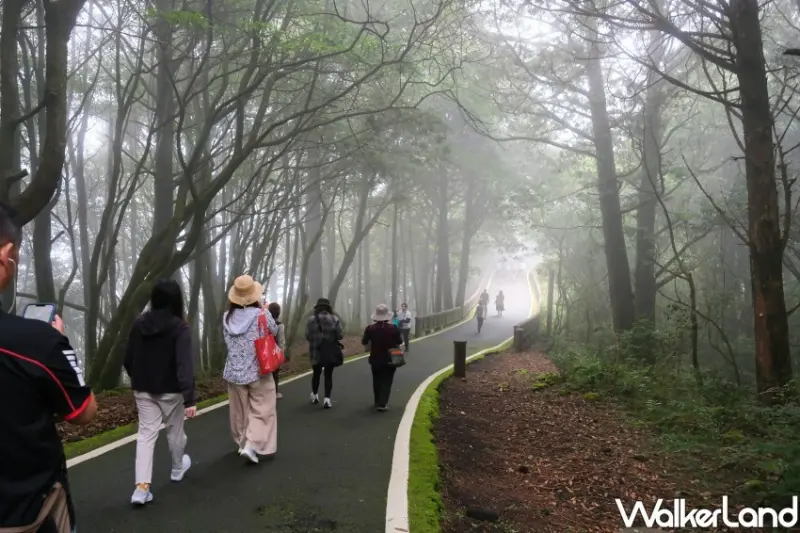 阿里山林鐵觀光列車「福森號」/ WalkerLand窩客島整理提供 未經許可不可轉載。