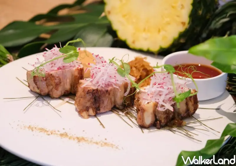 阿里山林鐵觀光列車「福森號」/ WalkerLand窩客島整理提供 未經許可不可轉載。