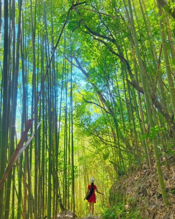  幽靈瀑布/ WalkerLand窩客島整理提供 未經許可不可轉載