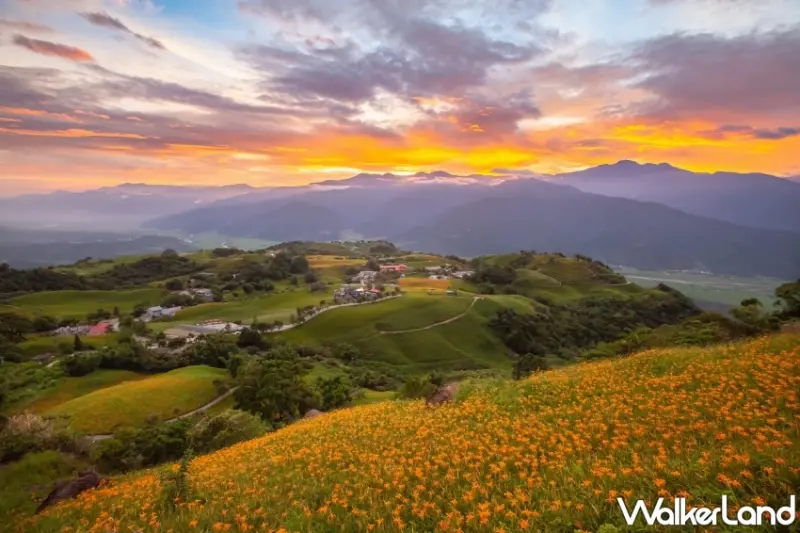 探索金色花海「赤科山、六十石山」旅遊指南