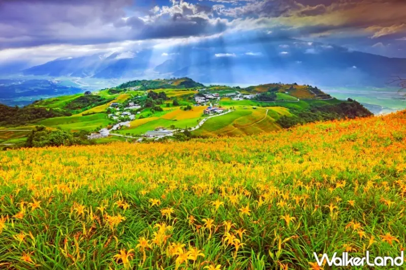 探索金色花海「赤科山、六十石山」旅遊指南