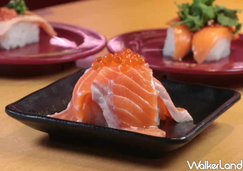 壽司郎鮭山島/ WalkerLand窩客島整理提供 未經許可不可轉載。