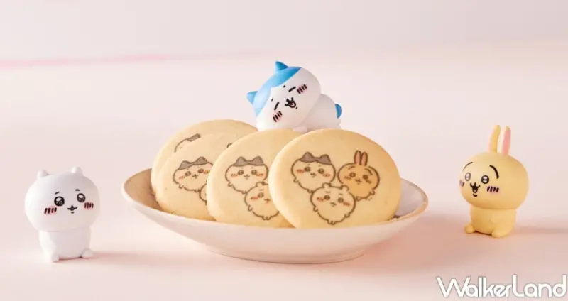 吉伊卡哇圖案餅乾  / WalkerLand窩客島提供 未經許可，不得轉載