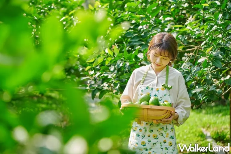 墾丁凱撒「檸檬大叔主題房」入住贈早晚餐、檸檬大叔經典禮盒