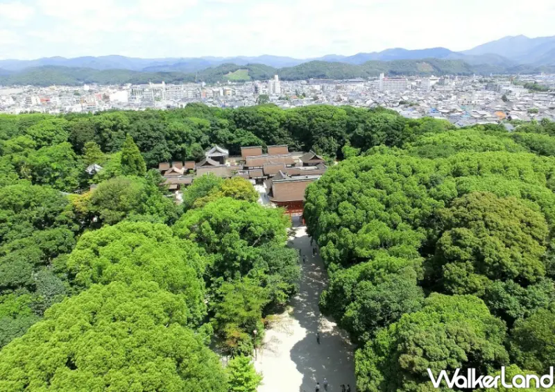 京都特急巴士/ WalkerLand窩客島整理提供 未經許可不可轉載。