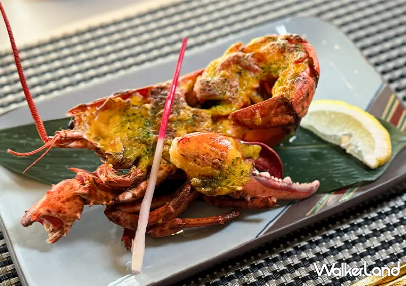 宜蘭一日遊也能玩！宜蘭飯店推薦「綠舞飯店」不只有笑笑羊咖啡廳，還能餵食水豚、梅花鹿與羊駝/ WalkerLand窩客島整理提供 未經許可不可轉載。