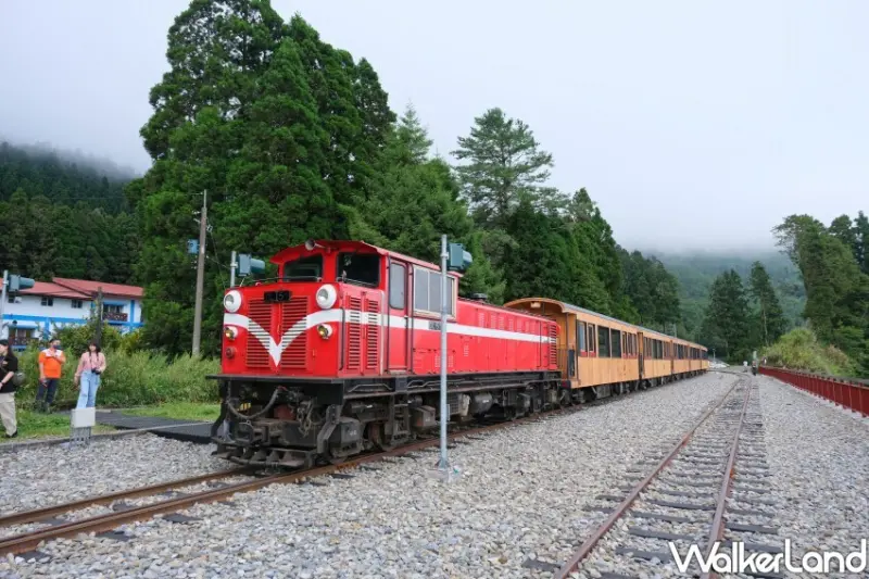 阿里山林鐵觀光列車「福森號」/ WalkerLand窩客島整理提供 未經許可不可轉載。