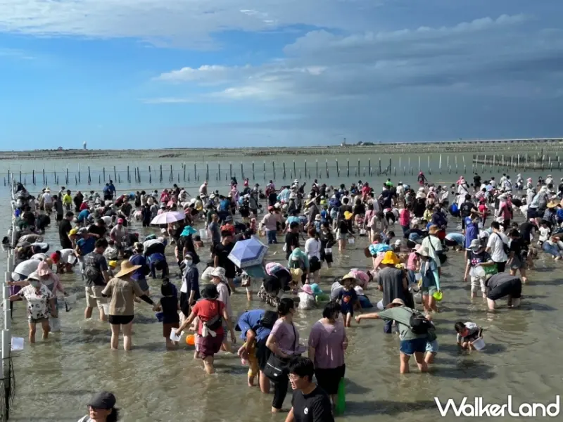 2024臺南七股海鮮節