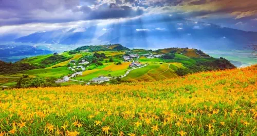 花蓮金針花季搶先看！探索金色花海「赤科山、六十石山」旅遊指南，花蓮金針花一日遊必玩行程大公開。