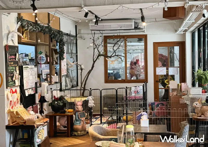 台北兔子餐廳「兔Dreams」低消100就能摸兔兔/ WalkerLand窩客島整理提供 未經許可不可轉載。