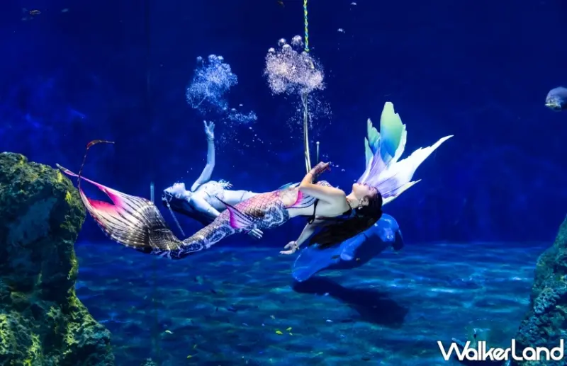 遠雄海洋公園2024冰風暴怪獸聯盟來襲，享哥吉拉主題餐飲與暑期入園優惠。