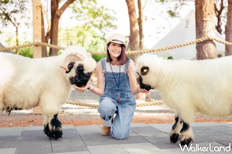 雀客國際酒店2024夏季超值住宿套票