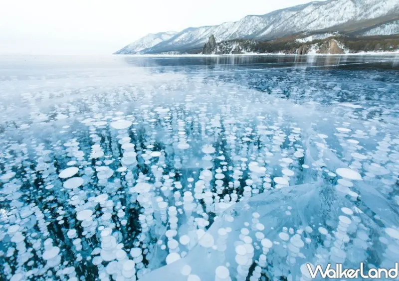雄獅旅遊 父親節優惠 / WalkerLand窩客島整理提供 未經許可不可轉載。