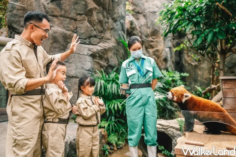 香港海洋公園 夏水禮2024  / WalkerLand窩客島提供 未經許可，不得轉載