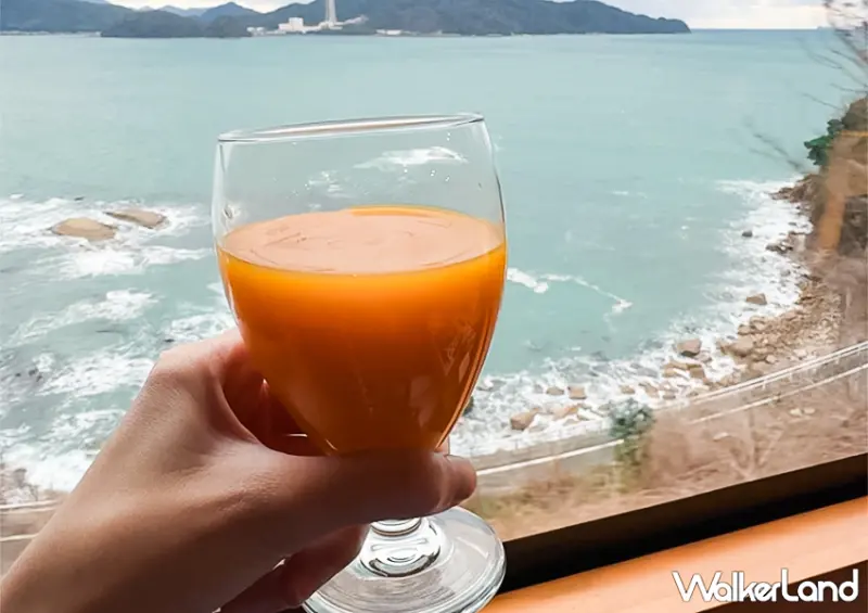 要預約！京都海上列車「天橋立丹後黑松號」神隱少女海上列車在這/ WalkerLand窩客島整理提供 未經許可不可轉載。