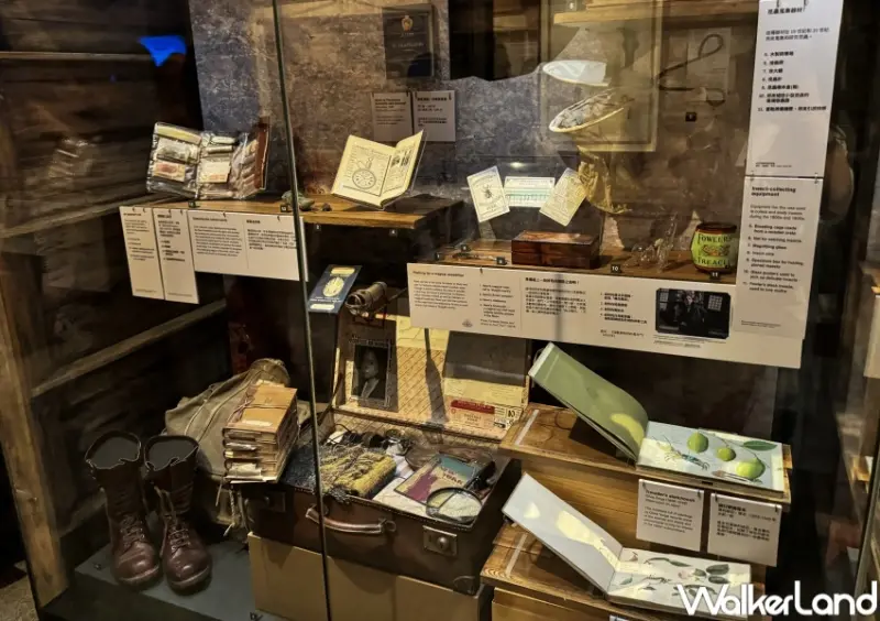 怪獸與大自然的奇幻世界 特展  / WalkerLand窩客島提供 未經許可，不得轉載