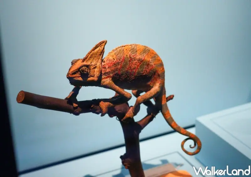 怪獸與大自然的奇幻世界 特展  / WalkerLand窩客島提供 未經許可，不得轉載