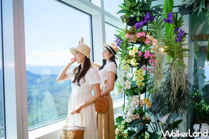 台北101打造「蕨‧蘭之美」秘境花園觀景台