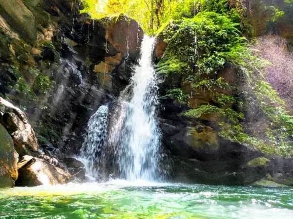  三民蝙蝠洞/ WalkerLand窩客島整理提供 未經許可不可轉載