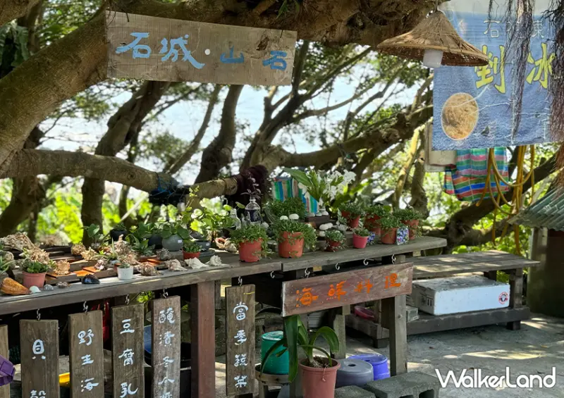 台灣也有泰國嘟嘟車！北海岸景點「舊草嶺隧道一日遊」夏天別錯過/ WalkerLand窩客島整理提供 未經許可不可轉載。