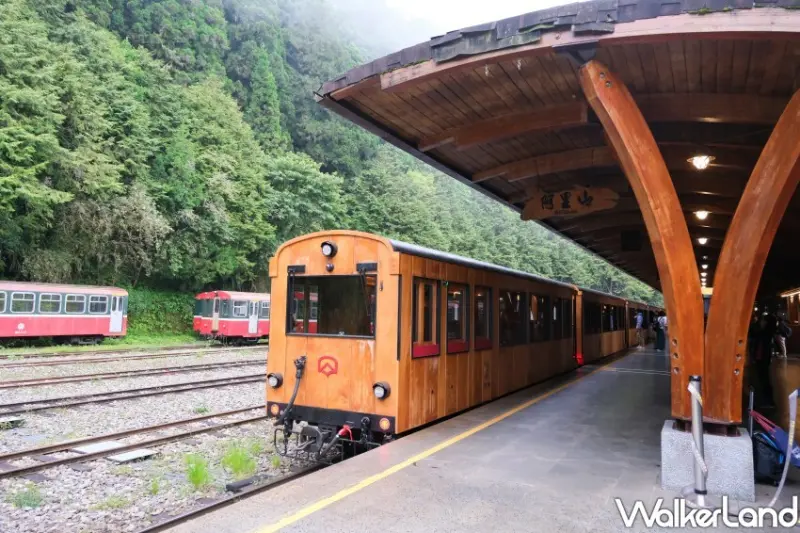 阿里山林鐵觀光列車「福森號」/ WalkerLand窩客島整理提供 未經許可不可轉載。