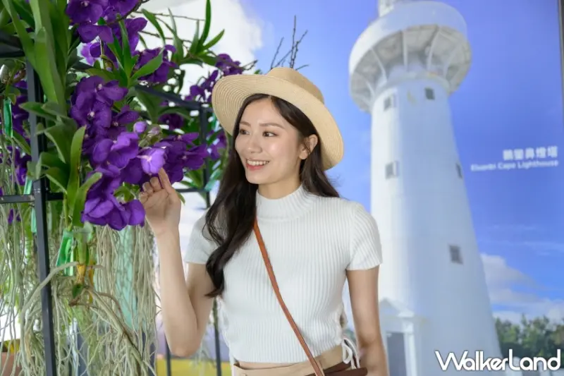 台北101打造「蕨‧蘭之美」秘境花園觀景台