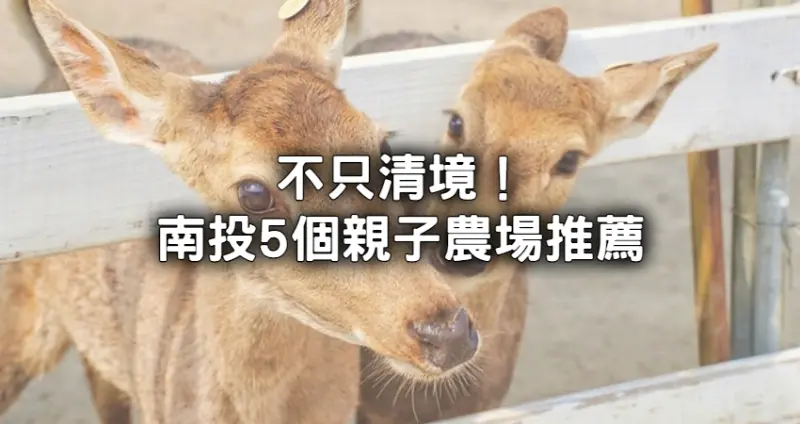 不只清境農場！暑假親子必玩5間「南投特色農場」推薦，全台最大鳥樂園、動物夜景餐廳先衝。