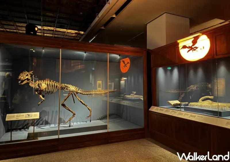 怪獸與大自然的奇幻世界 特展  / WalkerLand窩客島提供 未經許可，不得轉載