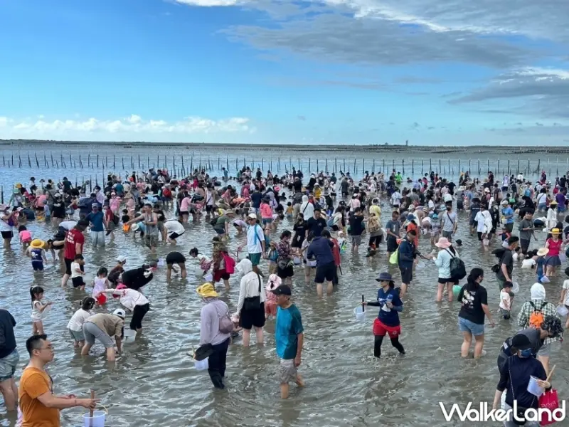 2024臺南七股海鮮節