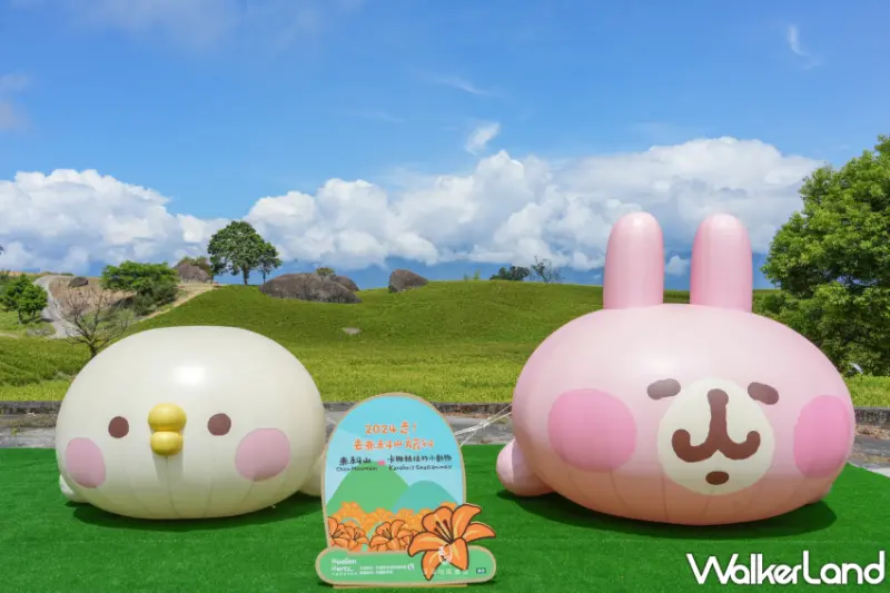 赤科山卡娜赫拉金色花園、六十石山文化之旅，雙重景點一日遊、深入探索花蓮的自然之美。