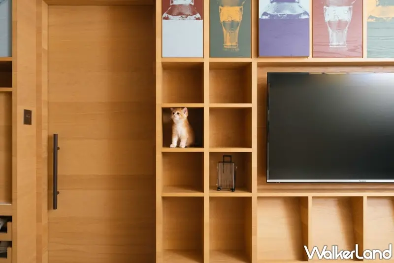 高雄中央公園英迪格酒店推出寵物專屬住房專案，加碼限時5折優惠、免費寵物特調。