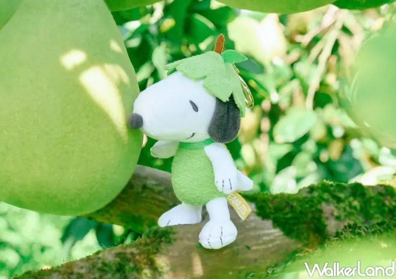 威秀影城 柚子史努比周邊  / WalkerLand窩客島提供 未經許可，不得轉載