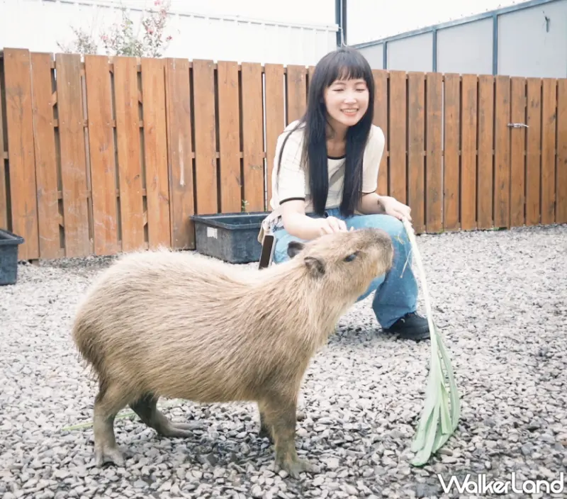 新竹馬武督、谷關與墾丁一泊二食全新體驗，附贈icash 2.0環保回饋、旅行也能愛地球。